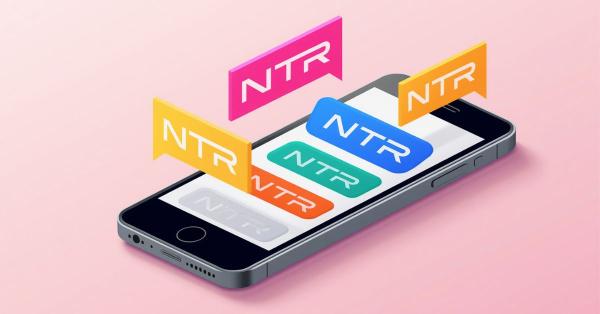 How Is “NTR” Used in Chat?