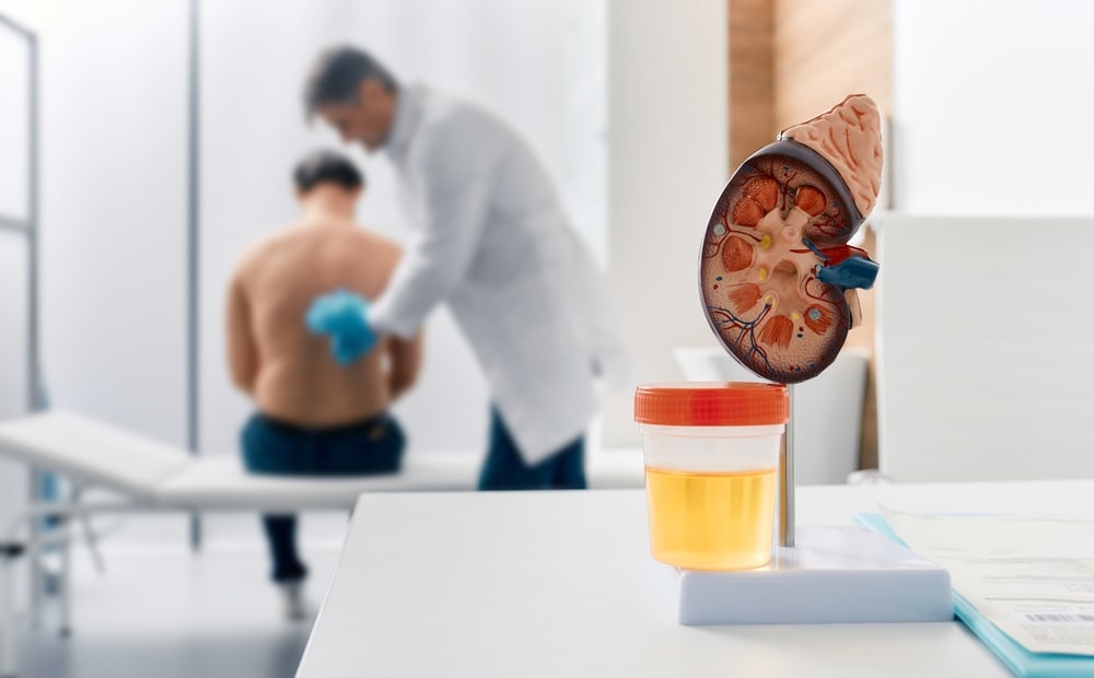 What Does It Mean to Have Protein in Your Urine? Explained Simply