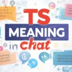 TS Meaning in Chat