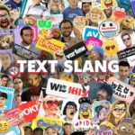 WSG Meaning