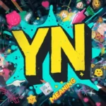 yn meaning