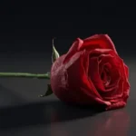 wilting rose emoji